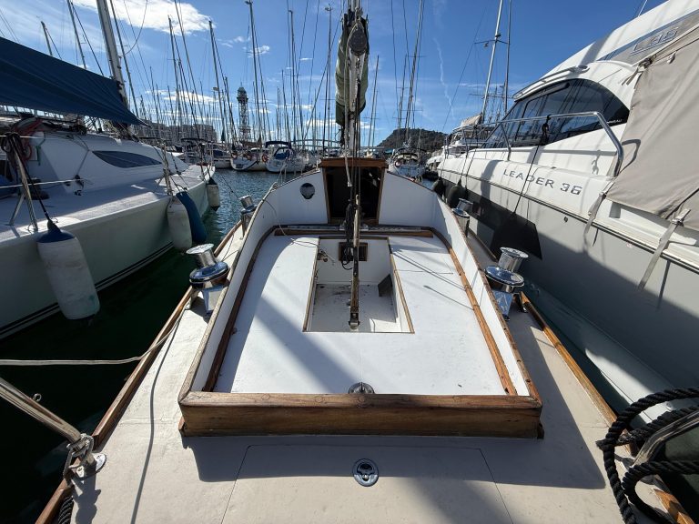 WhatsApp Image 2026-02-17 at 10.52.42 (4)