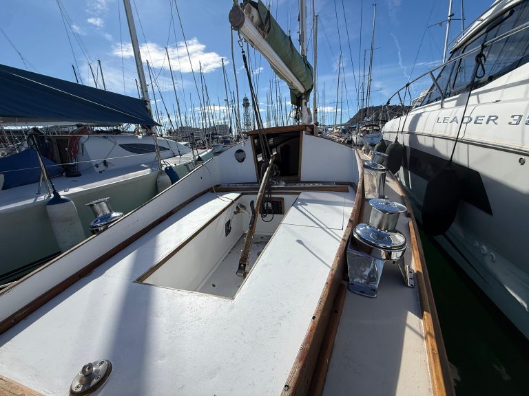 WhatsApp Image 2026-02-17 at 10.52.42 (5)