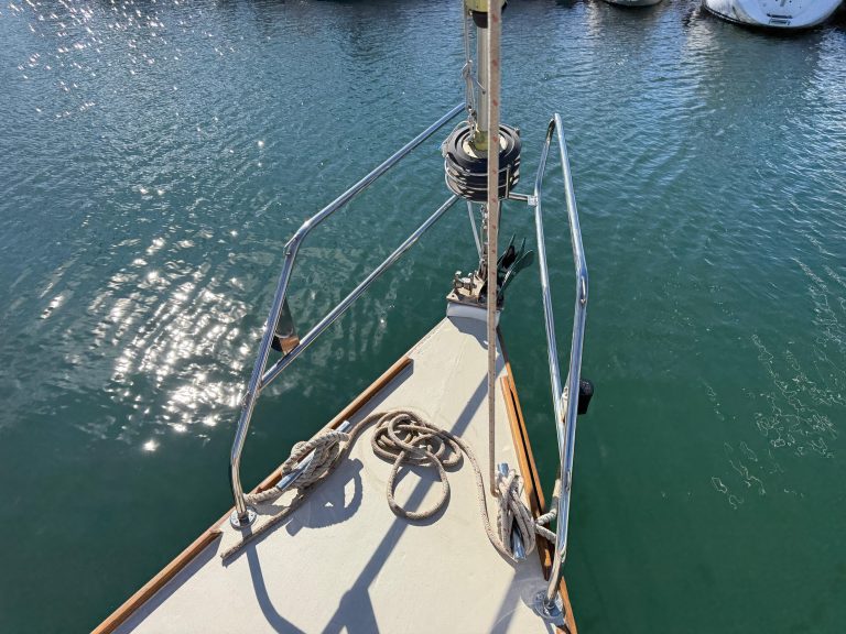 WhatsApp Image 2026-02-17 at 10.52.43 (10)