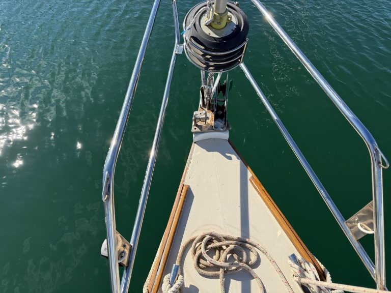 WhatsApp Image 2026-02-17 at 10.52.43 (11)