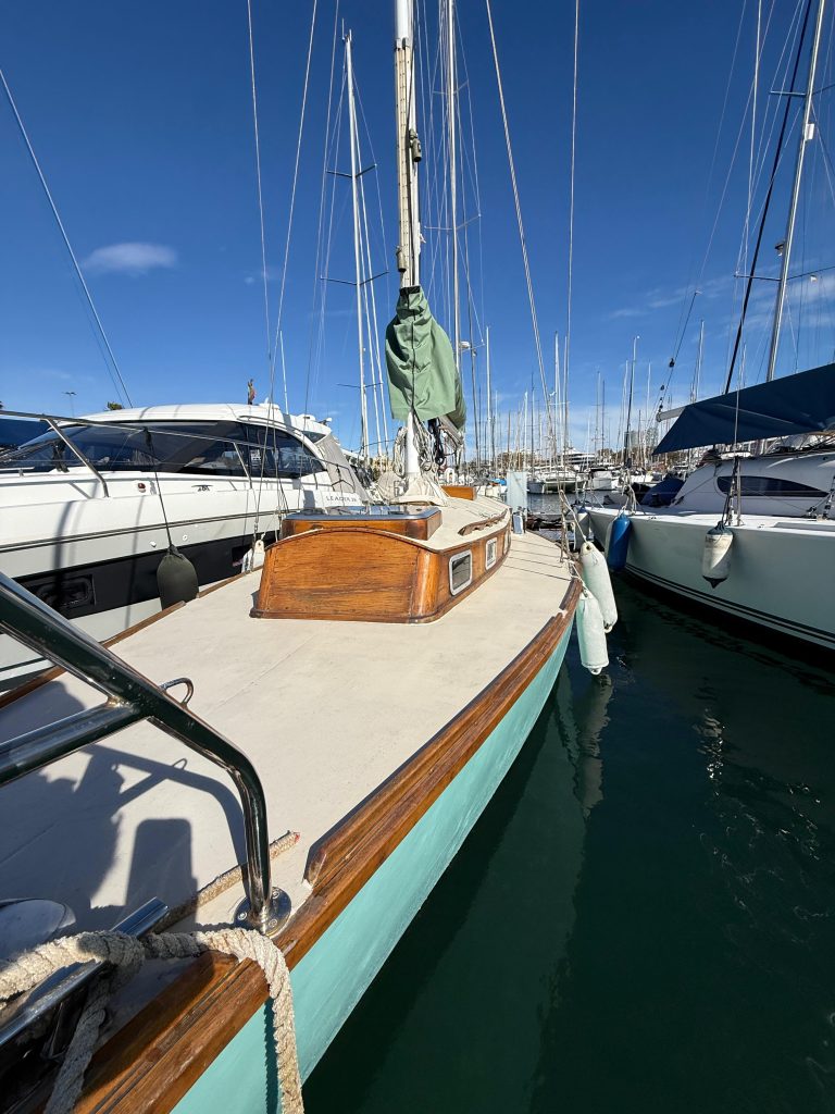 WhatsApp Image 2026-02-17 at 10.52.43 (12)