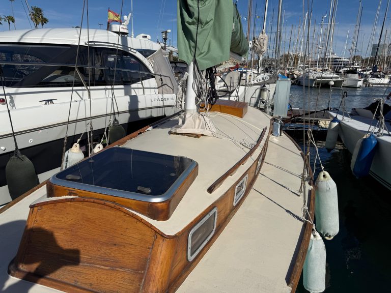 WhatsApp Image 2026-02-17 at 10.52.43 (14)