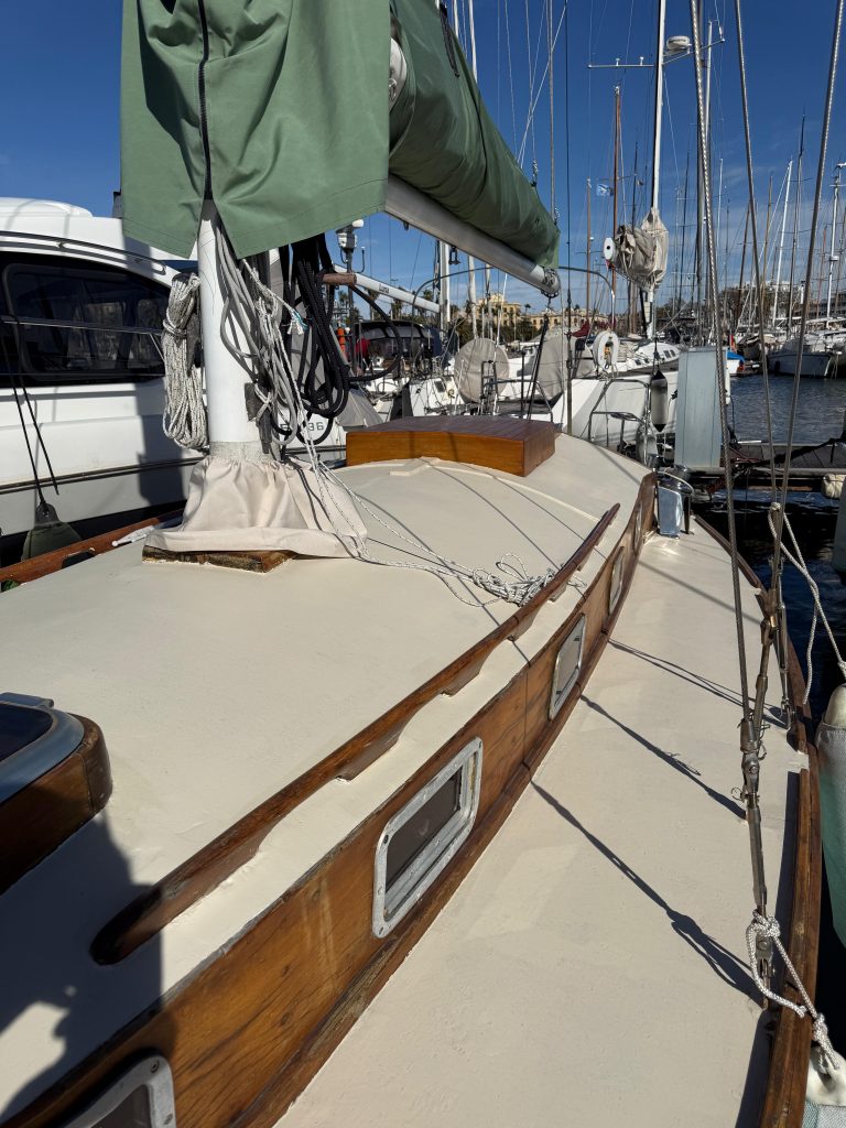 WhatsApp Image 2026-02-17 at 10.52.43 (15)