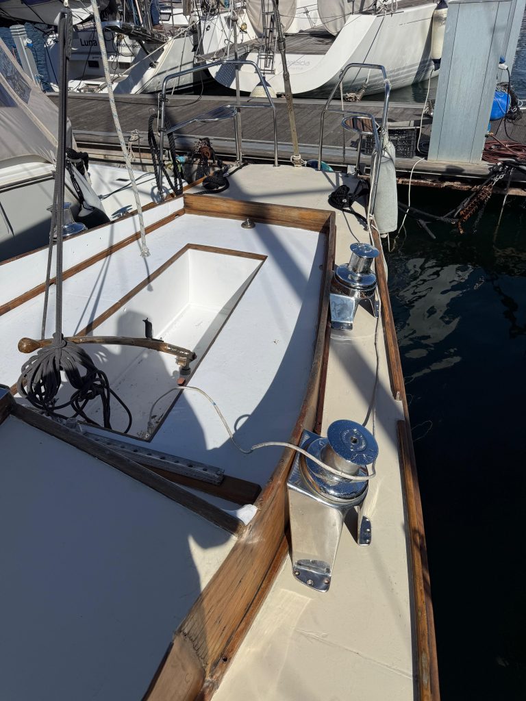 WhatsApp Image 2026-02-17 at 10.52.43 (17)