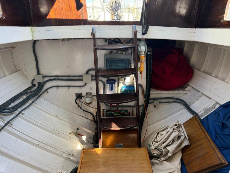 WhatsApp Image 2026-02-17 at 10.52.43 (21)