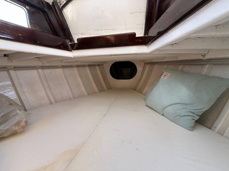 WhatsApp Image 2026-02-17 at 10.52.43 (24)