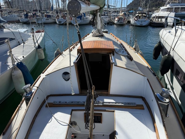 WhatsApp Image 2026-02-17 at 10.52.43 (3)