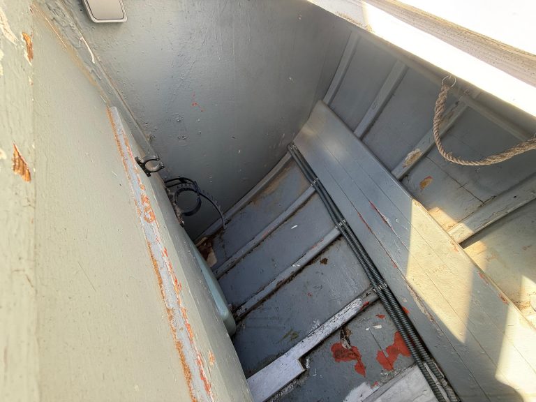 WhatsApp Image 2026-02-17 at 10.52.43 (37)