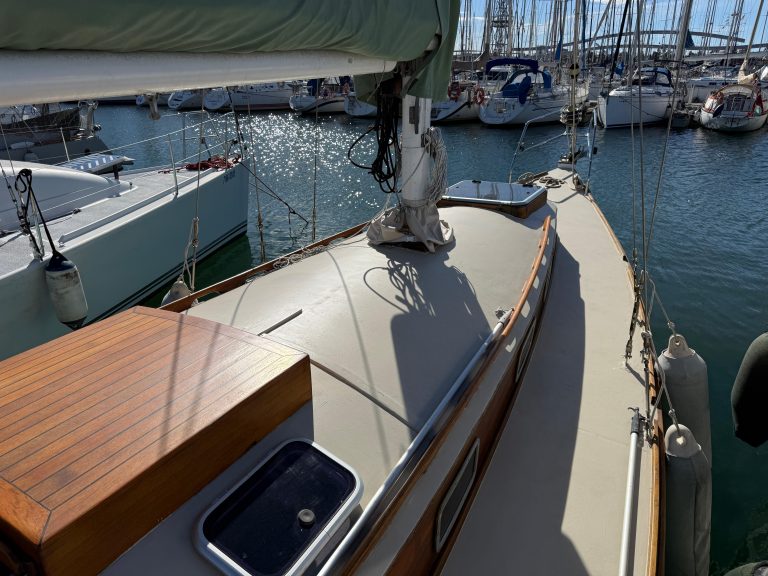 WhatsApp Image 2026-02-17 at 10.52.43 (7)