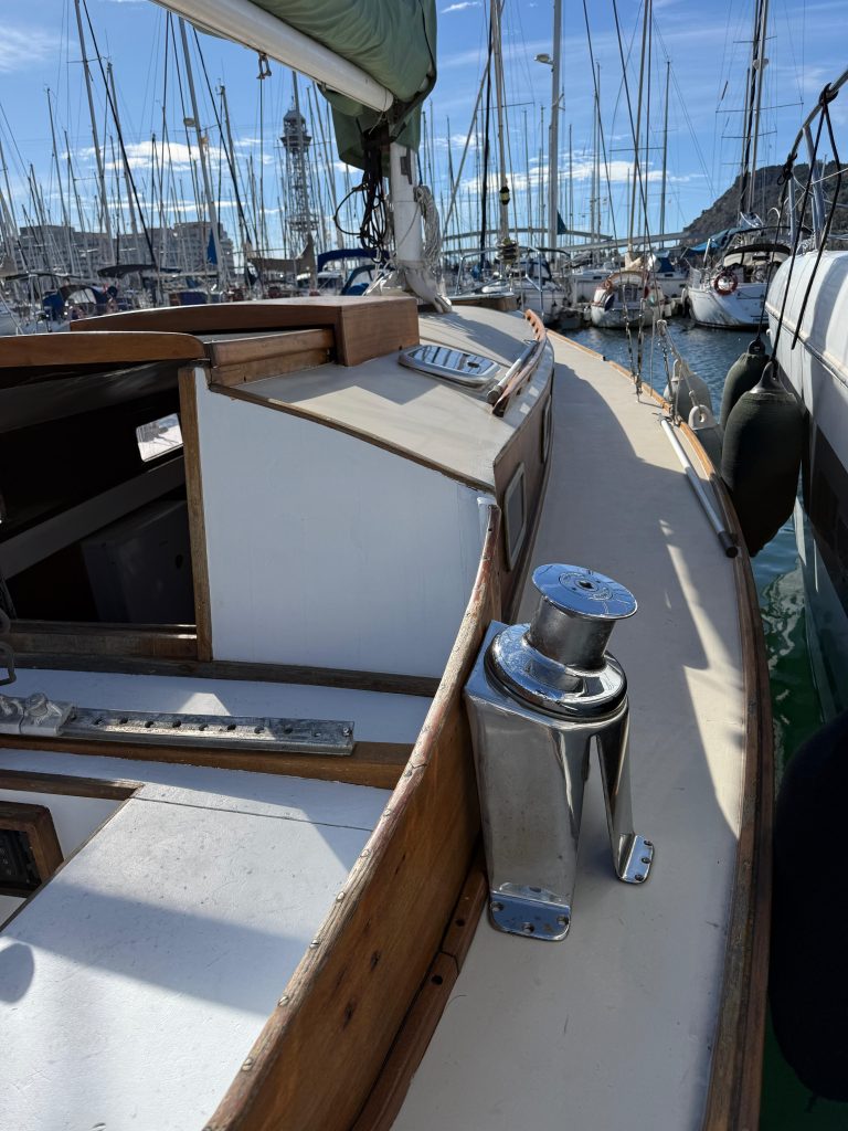 WhatsApp Image 2026-02-17 at 10.52.43