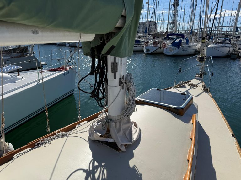 WhatsApp Image 2026-02-17 at 10.52.43 (8)