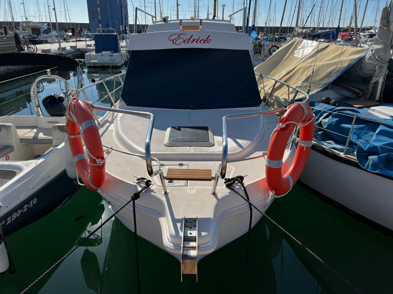 WhatsApp Image 2026-02-23 at 11.16.07 (1)