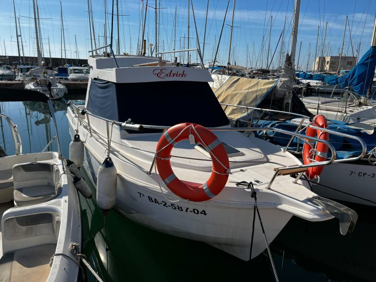 WhatsApp Image 2026-02-23 at 11.16.07