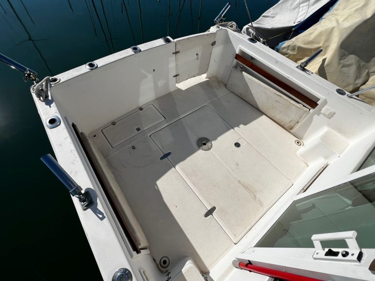 WhatsApp Image 2026-02-23 at 11.16.08