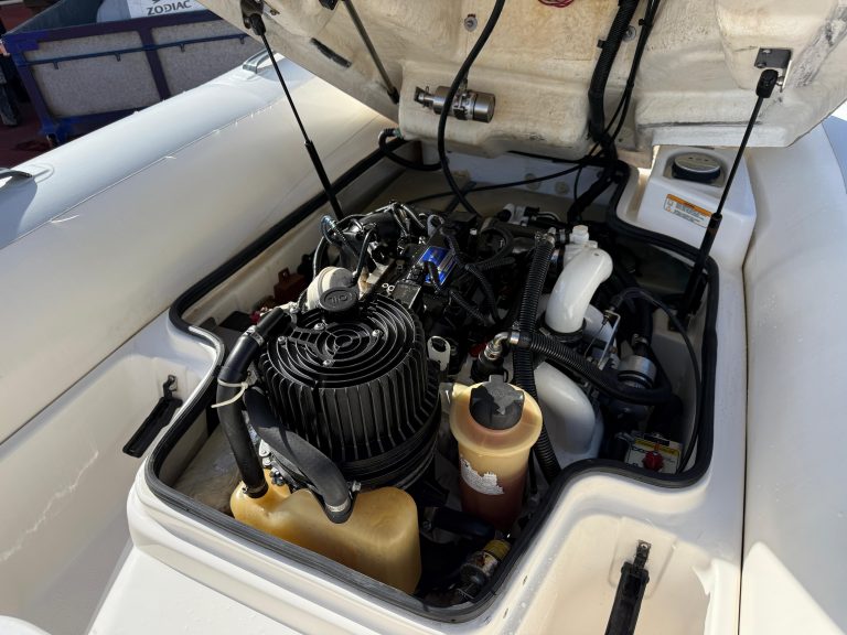 WhatsApp Image 2026-02-23 at 1a2.46.55