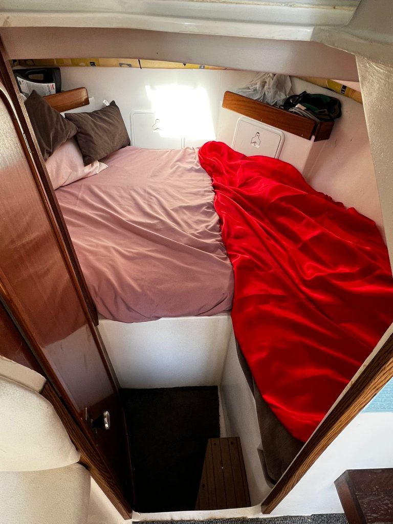 WhatsApp Image 2026-03-20 at 14.09.25 (1)