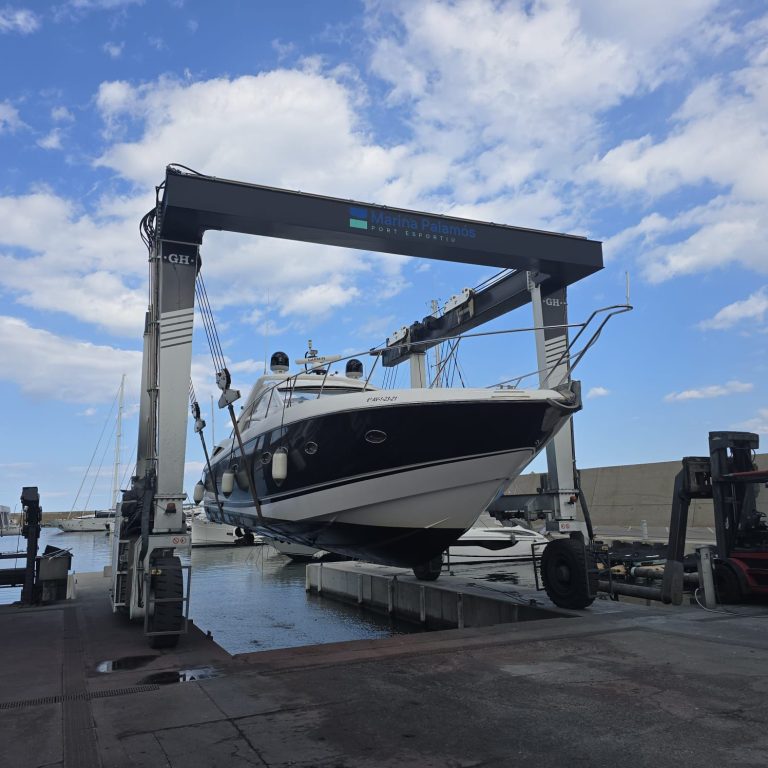 WhatsApp Image 2026-03-01 at 14.56.51