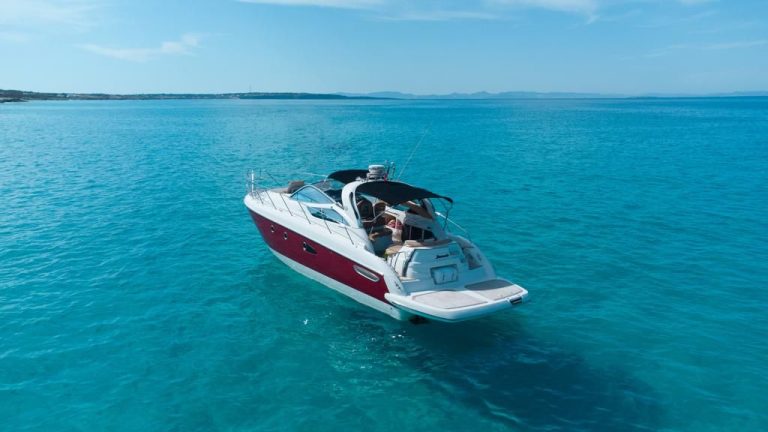 WhatsApp Image 2026-03-02 at 11.48.44 (4)