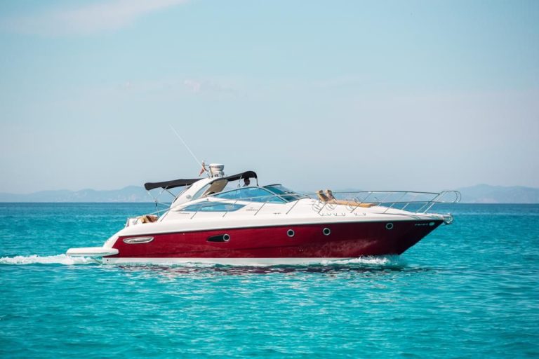 WhatsApp Image 2026-03-02 at 11.48.45