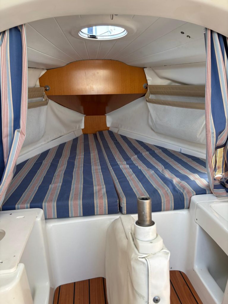 WhatsApp Image 2026-03-22 at 19.24.43