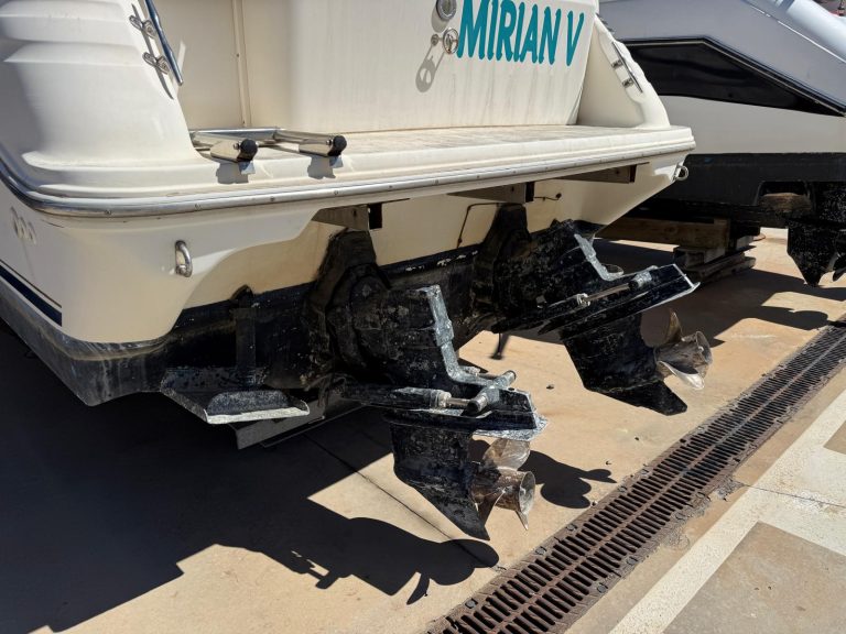 WhatsApp Image 2026-03-31 at 12.48.10 (1)