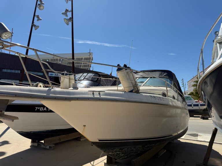 WhatsApp Image 2026-03-31 at 12.48.10 (4)