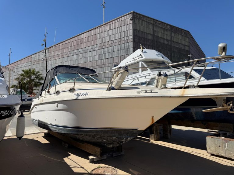 WhatsApp Image 2026-03-31 at 12.48.10 (5)