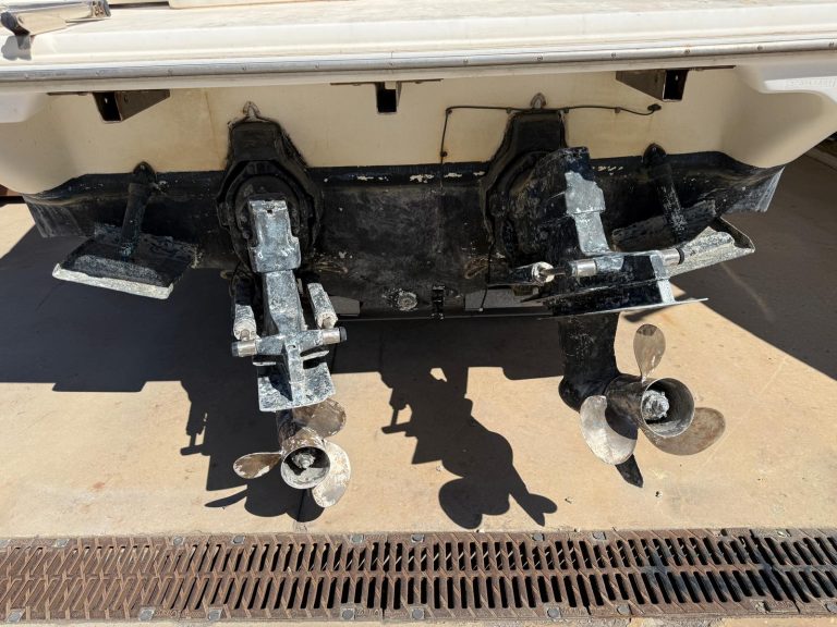 WhatsApp Image 2026-03-31 at 12.48.10 (6)