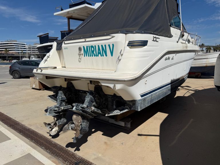 WhatsApp Image 2026-03-31 at 12.48.10 (7)