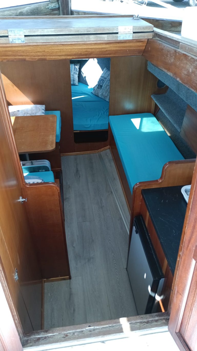 capeador-justo-saura-5_1779871697901