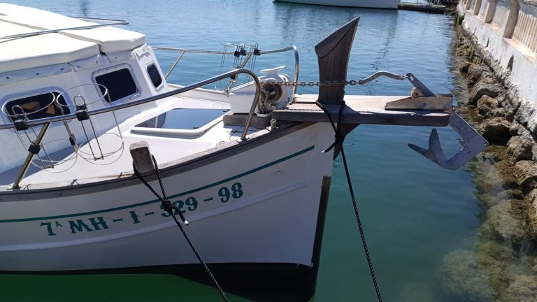 capeador-justo-saura-9_1779871698861