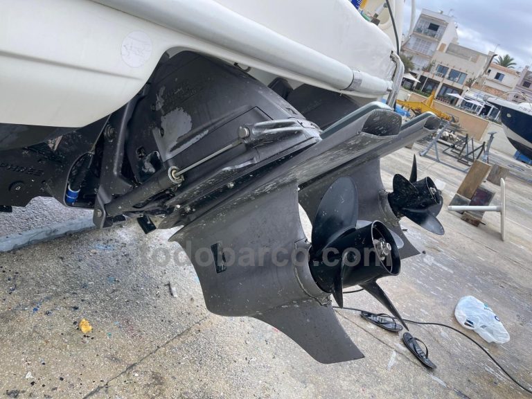 cranchi-giada-29-venta-8_1716971890319