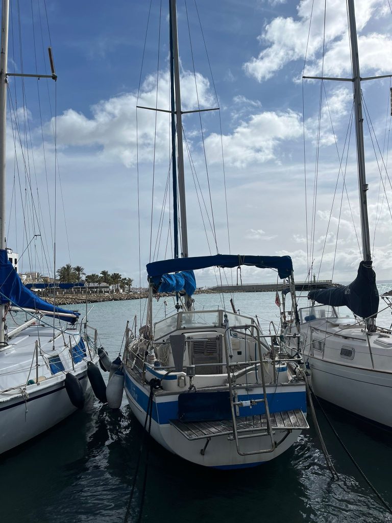 hallberg-rassy-31-28_1770898002277