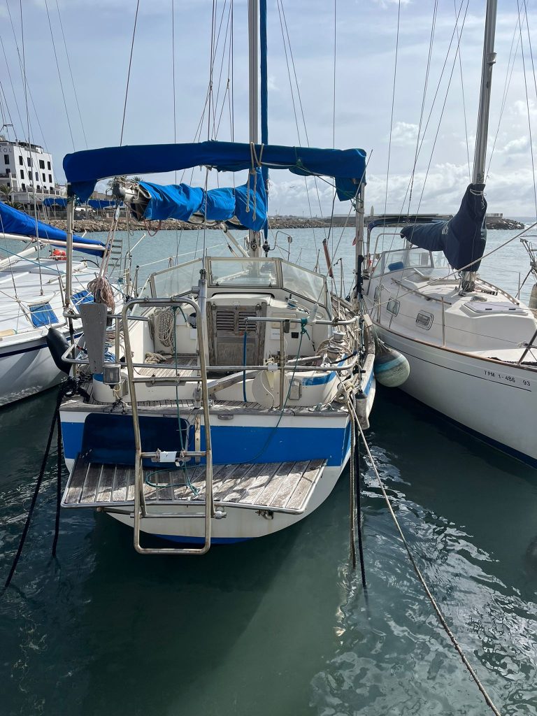 hallberg-rassy-31-7_1770897996752