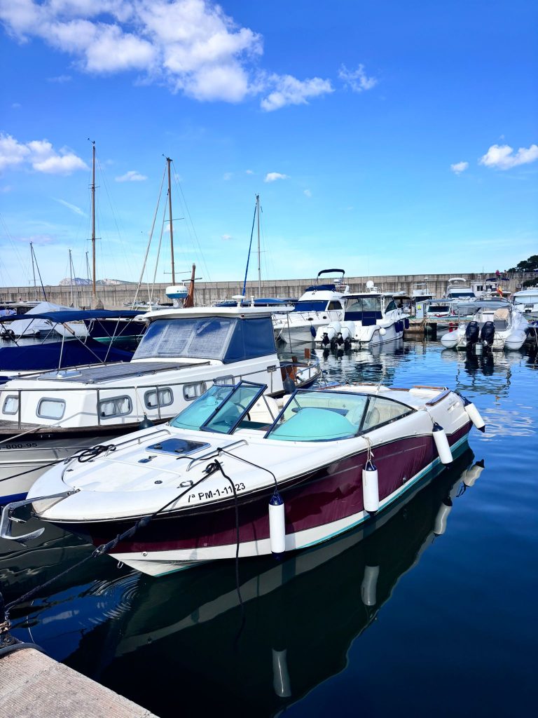 jeanneau-runabout-755-6_1779267019199