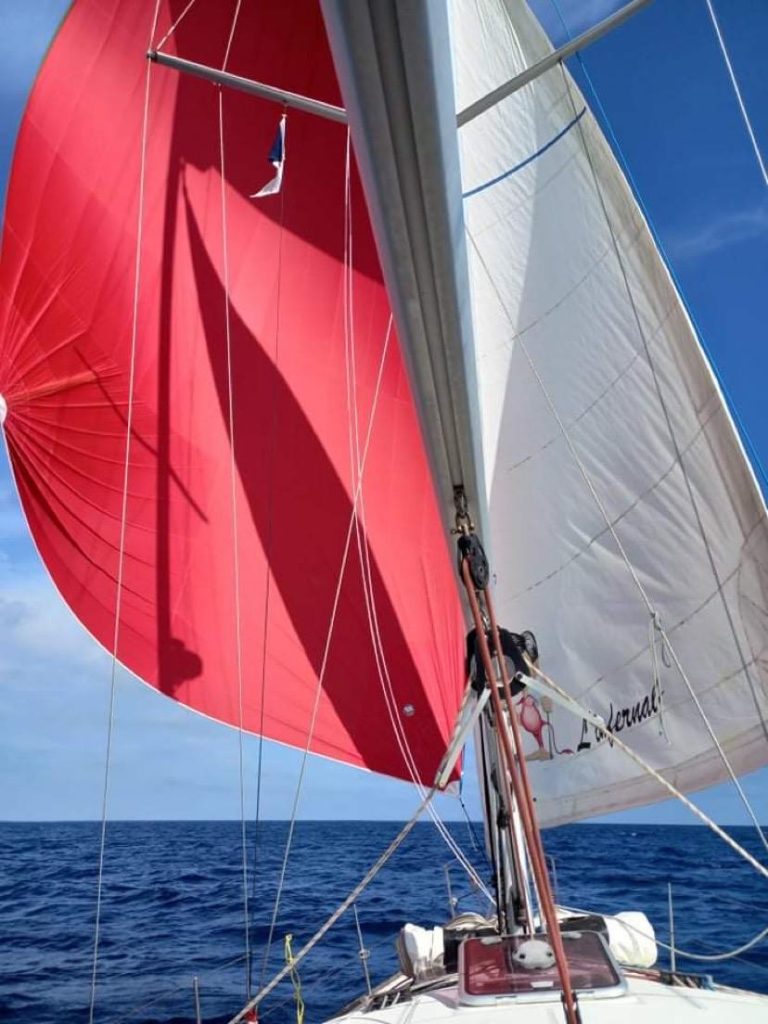 jeanneau-sun-odyssey-42-ds-7_1781158234393