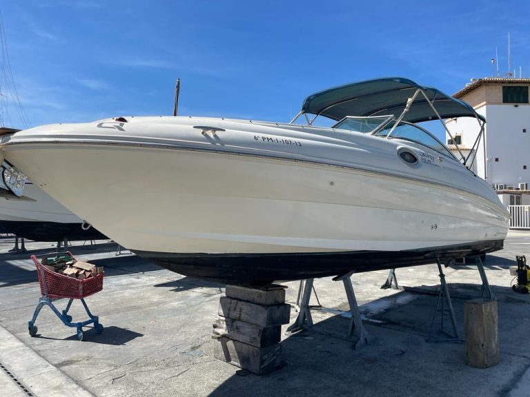 sea-ray-240-sundeck-10_1774962386965