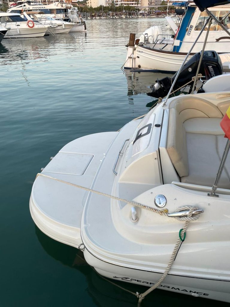 sea-ray-240-sundeck-11_1774962387126