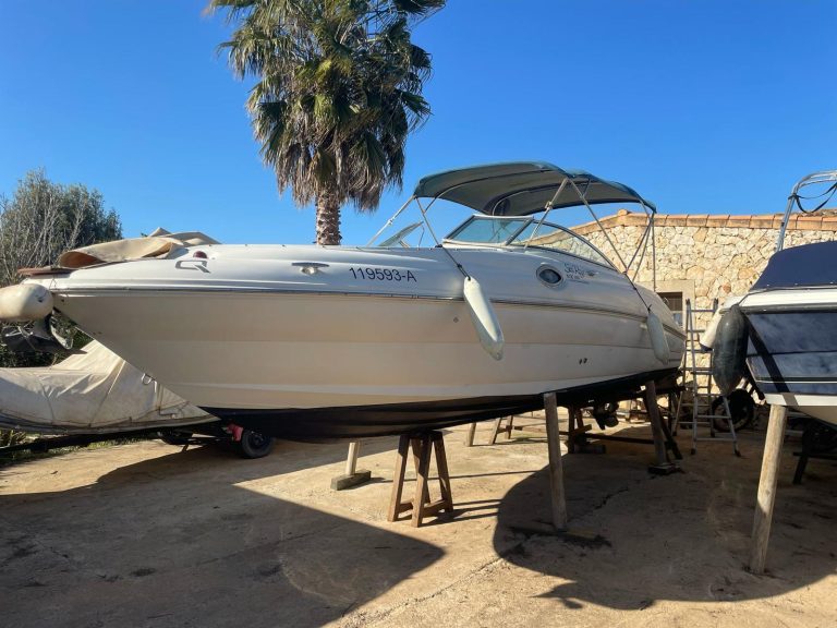 sea-ray-240-sundeck-3_1774962385821