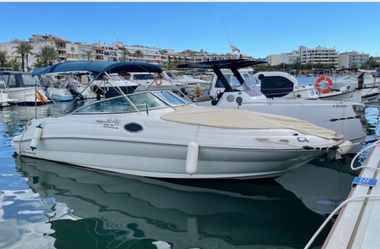 sea-ray-240-sundeck-8_1774962386681