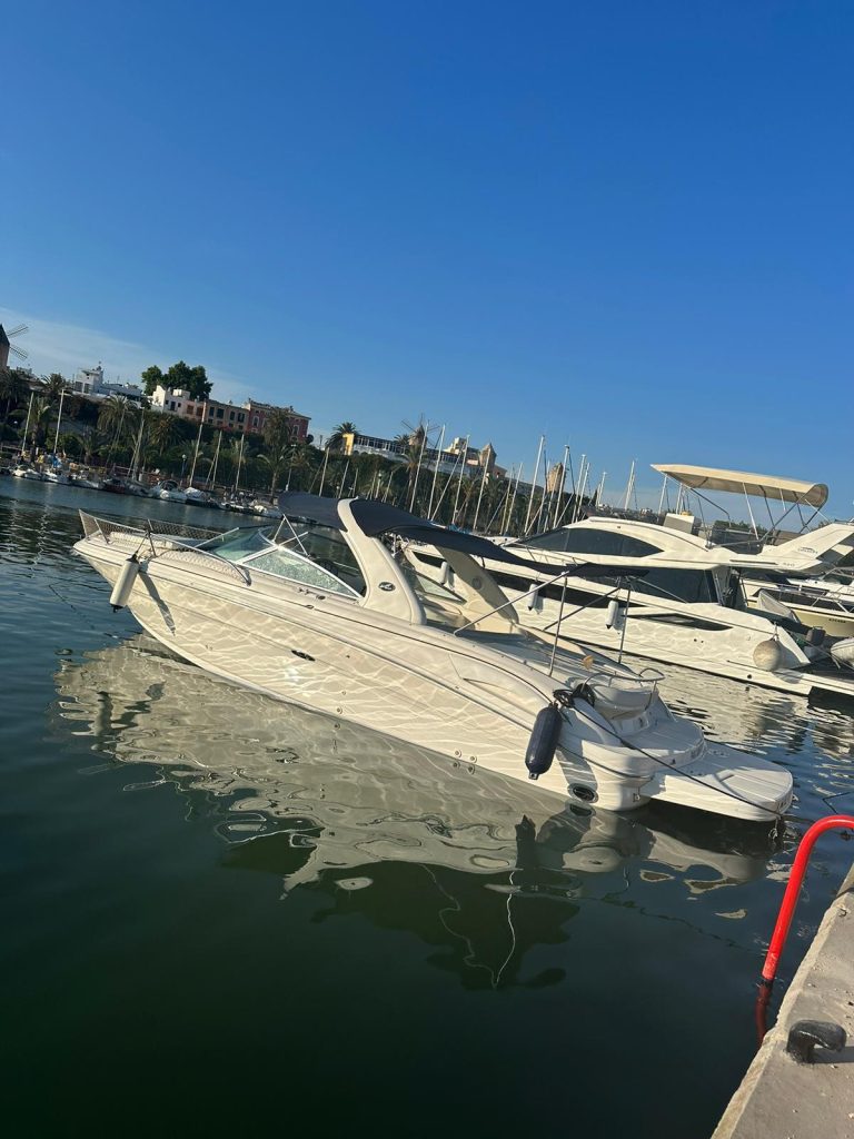sea-ray-290ss-0_1773150703184
