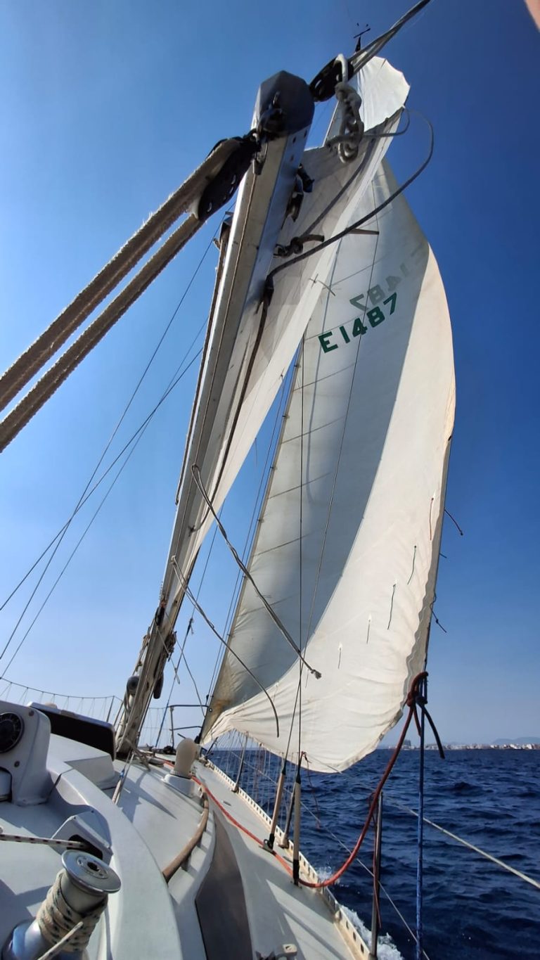 west-wind-35-24_1772182457746