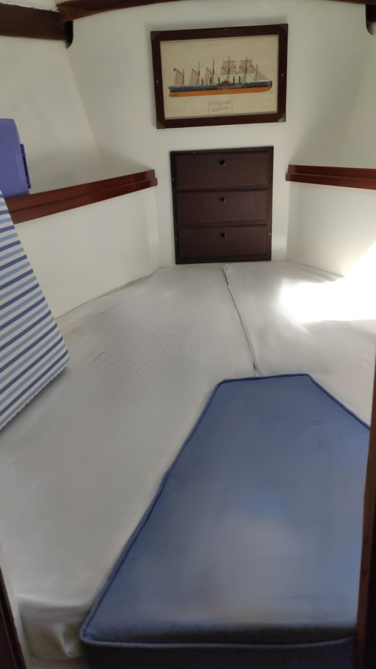 playvisa-coronado-35-10_1784634652785